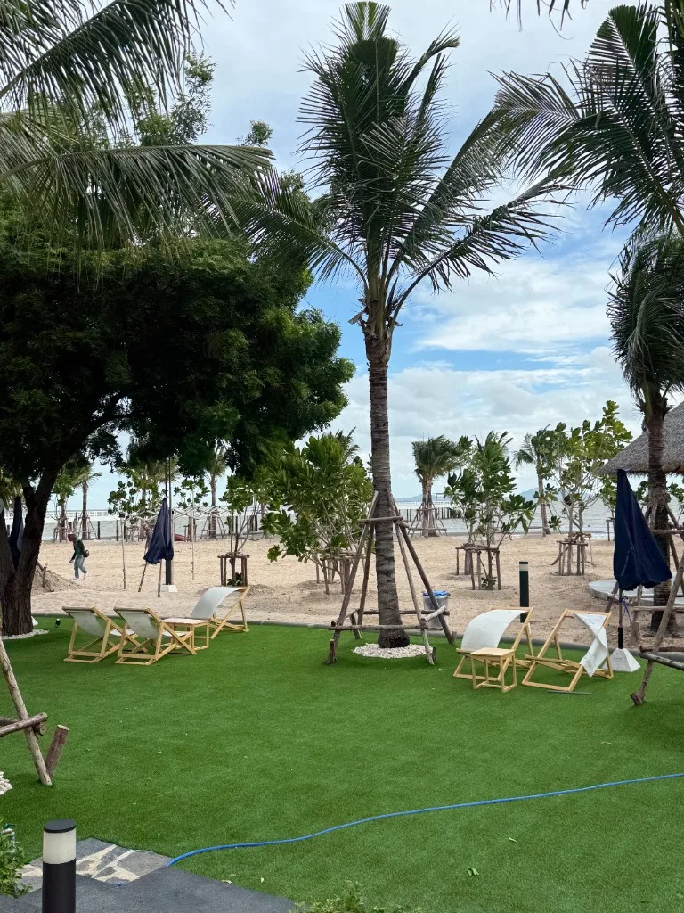 beach lawn