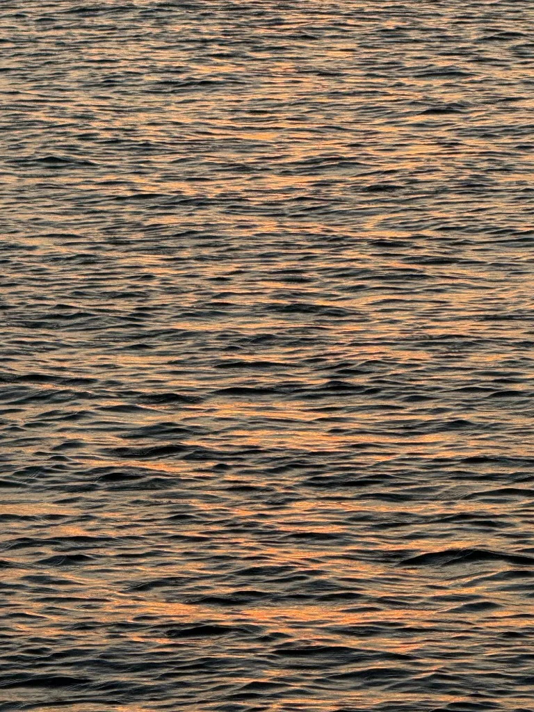 Golden light on the water
